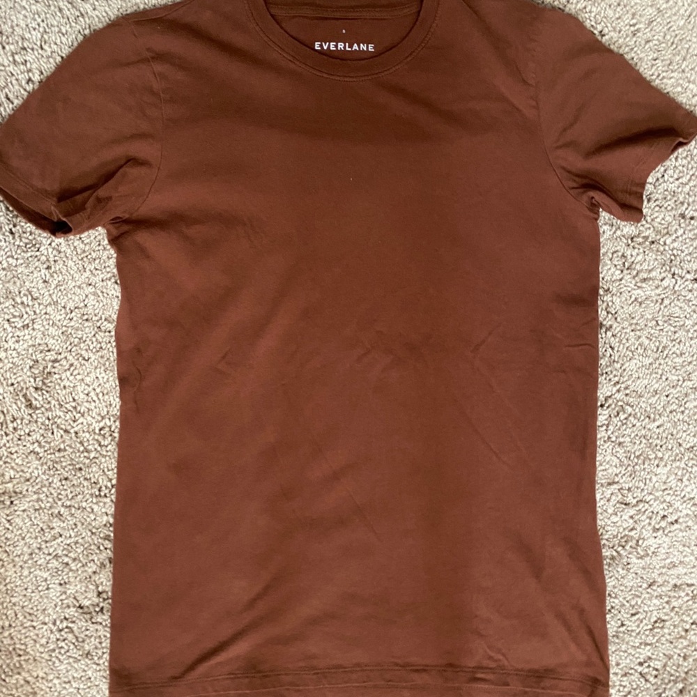Everlane boxy tee Rust color
